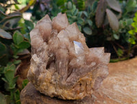 Natural Luena Smokey Phantom Quartz Clusters x 2 From Congo
