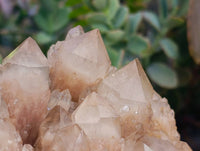 Natural Luena Smokey Phantom Quartz Clusters x 2 From Congo