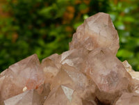 Natural Luena Smokey Phantom Quartz Clusters x 2 From Congo