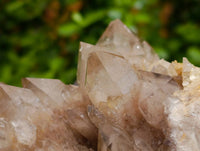 Natural Luena Smokey Phantom Quartz Clusters x 2 From Congo