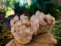 Natural Luena Smokey Phantom Quartz Clusters x 2 From Congo