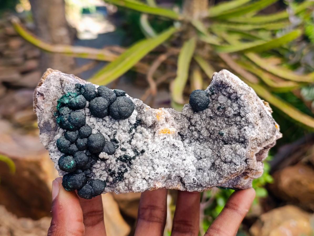 Natural Ball Malachite And Quartz On White Hemimorphite Specimen x 1 From Mindingi Mine, Kambove, Congo