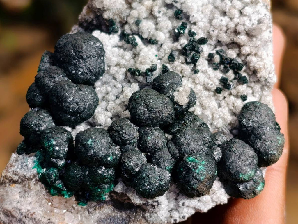 Natural Ball Malachite And Quartz On White Hemimorphite Specimen x 1 From Mindingi Mine, Kambove, Congo