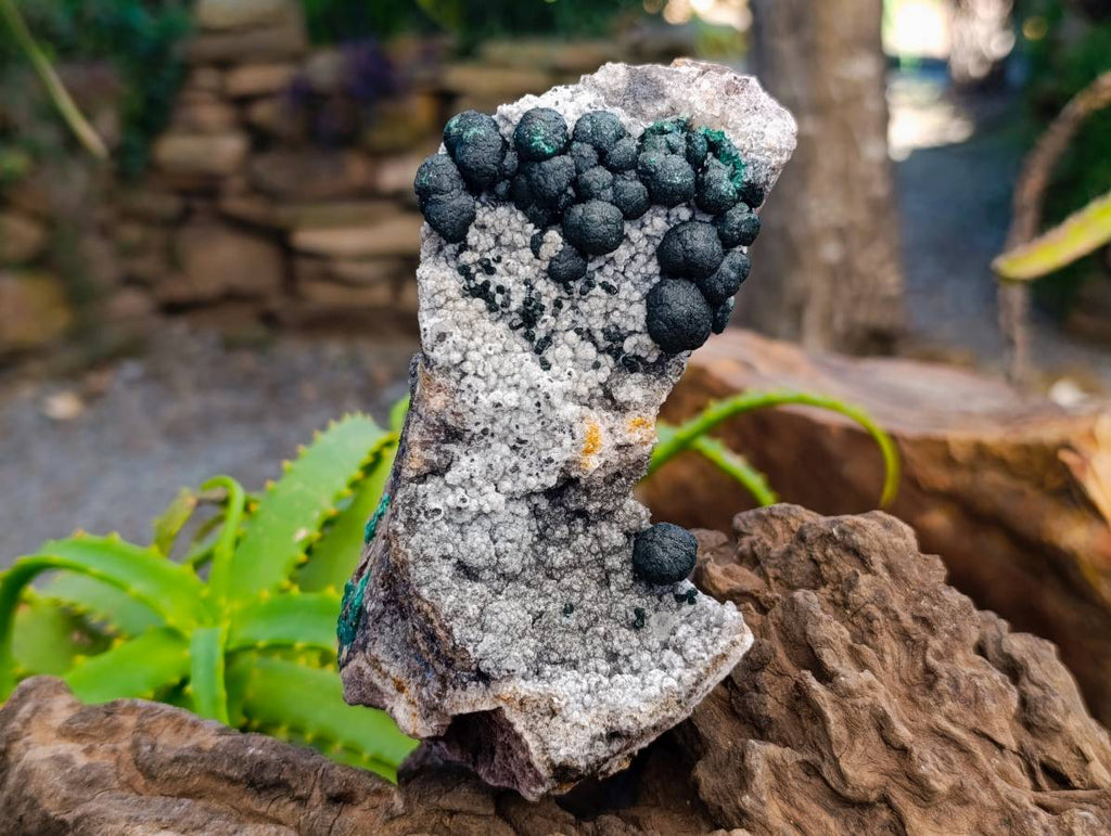 Natural Ball Malachite And Quartz On White Hemimorphite Specimen x 1 From Mindingi Mine, Kambove, Congo