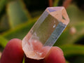 Natural Clear Quarts Crystals x 70 From Mpika, Zambia