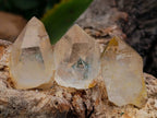 Natural Clear Quarts Crystals x 70 From Mpika, Zambia
