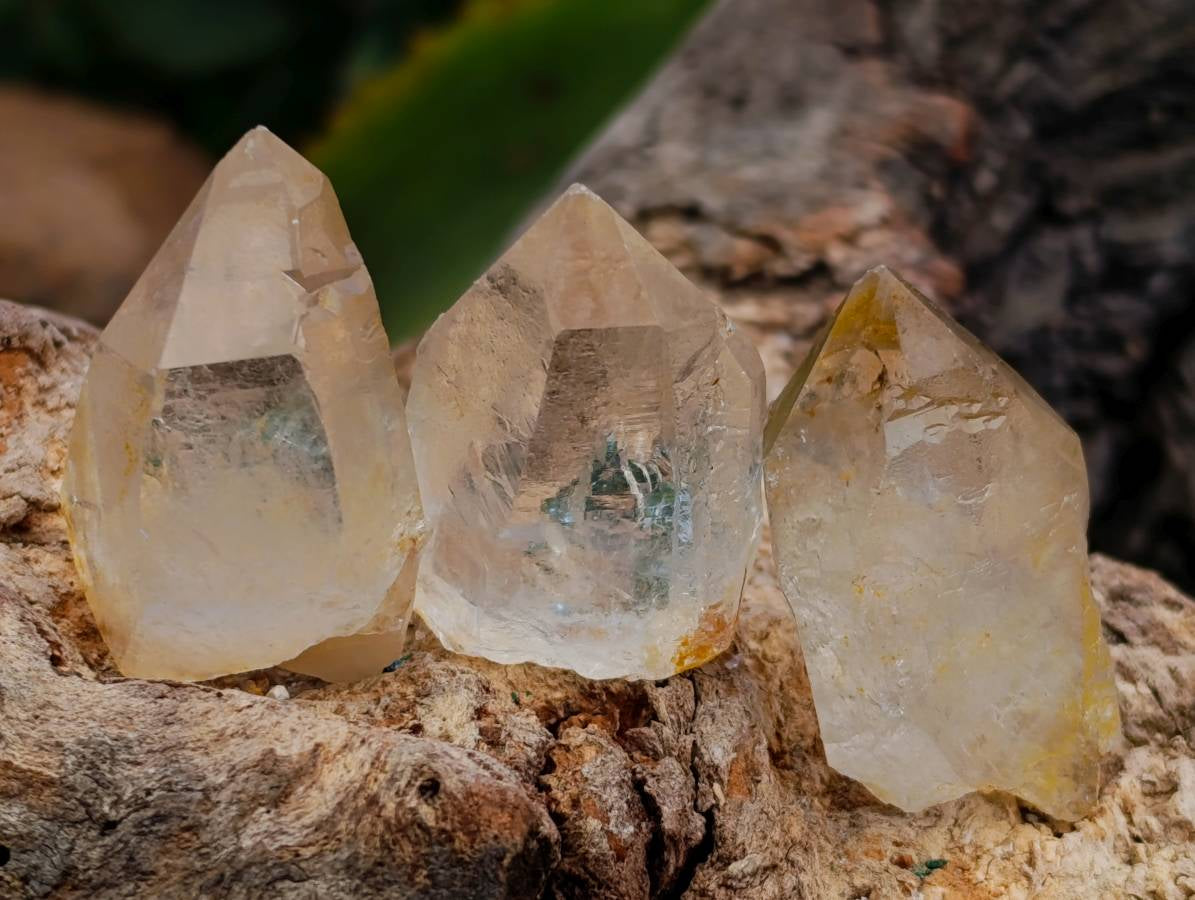 Natural Clear Quarts Crystals x 70 From Mpika, Zambia