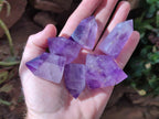 Polished Window Amethyst Crystals x 12 From Akansobe, Madagascar