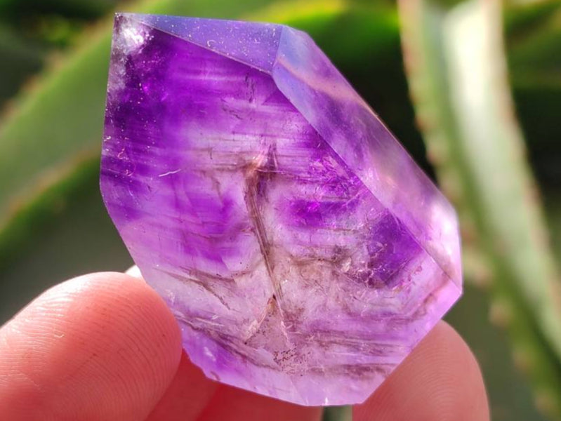 Polished Window Amethyst Crystals x 12 From Akansobe, Madagascar