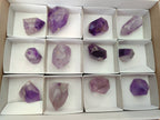 Polished Window Amethyst Crystals x 12 From Akansobe, Madagascar