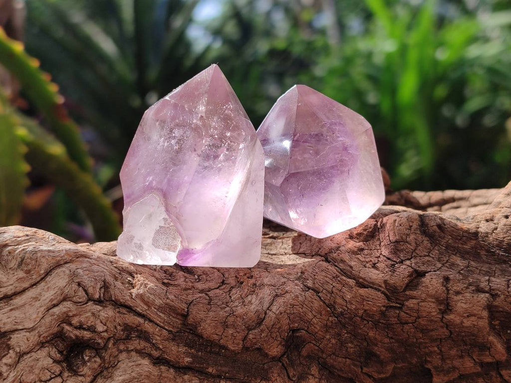 Polished Window Amethyst Crystals x 12 From Akansobe, Madagascar