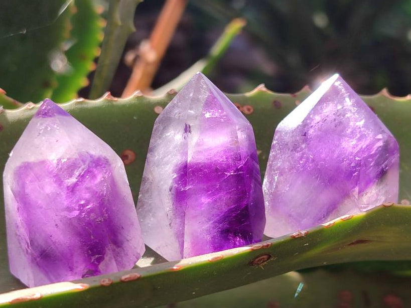 Polished Window Amethyst Crystals x 12 From Akansobe, Madagascar