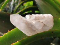 Natural Cascading Candle Quartz Clusters x 12 From Antsirabe, Madagascar