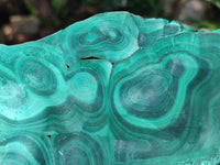 Natural Large Chatoyant, Velvet Silky Malachite Specimen x 1 From Kasompe, Congo