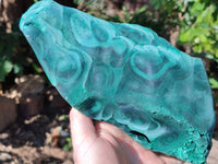 Natural Large Chatoyant, Velvet Silky Malachite Specimen x 1 From Kasompe, Congo