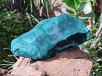 Natural Large Chatoyant, Velvet Silky Malachite Specimen x 1 From Kasompe, Congo