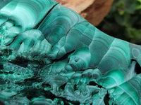 Natural Large Chatoyant, Velvet Silky Malachite Specimen x 1 From Kasompe, Congo