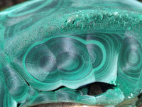 Natural Large Chatoyant, Velvet Silky Malachite Specimen x 1 From Kasompe, Congo