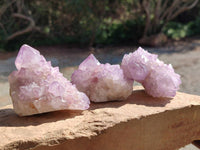 Natural Sunburst Amethyst Spirit Clusters x 12 From Boekenhouthoek, South Africa