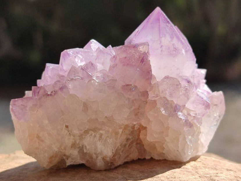 Natural Sunburst Amethyst Spirit Clusters x 12 From Boekenhouthoek, South Africa