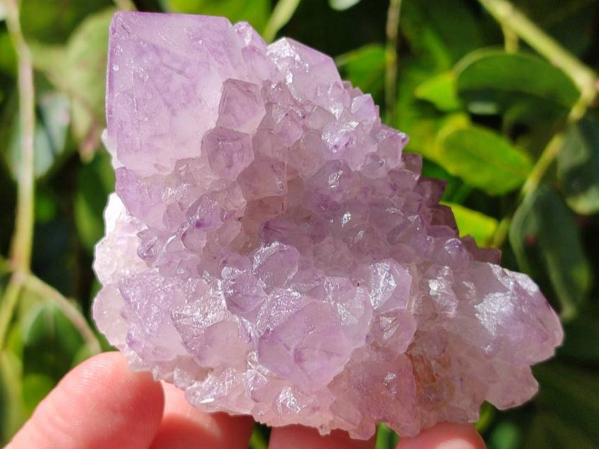 Natural Sunburst Amethyst Spirit Clusters x 12 From Boekenhouthoek, South Africa