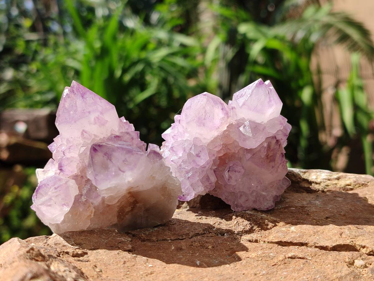 Natural Sunburst Amethyst Spirit Clusters x 12 From Boekenhouthoek, South Africa