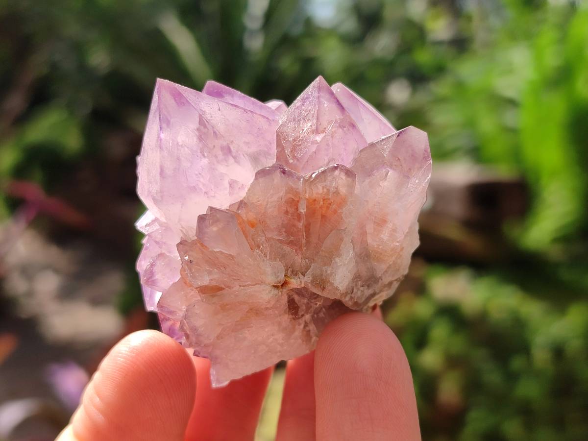 Natural Sunburst Amethyst Spirit Clusters x 12 From Boekenhouthoek, South Africa