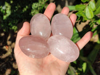Polished Rose Quartz Palm Stones x 12 From Madagascar