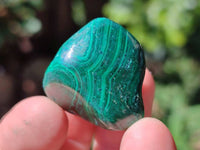 Polished Flower Banded Malachite Free Forms x 70 From Congo