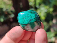 Polished Flower Banded Malachite Free Forms x 70 From Congo