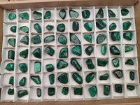 Polished Flower Banded Malachite Free Forms x 70 From Congo