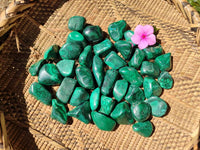 Polished Flower Banded Malachite Free Forms x 70 From Congo