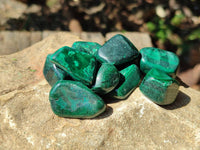 Polished Flower Banded Malachite Free Forms x 70 From Congo
