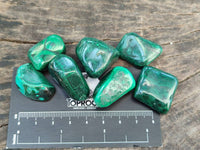 Polished Flower Banded Malachite Free Forms x 70 From Congo