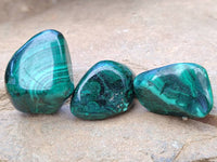 Polished Flower Banded Malachite Free Forms x 70 From Congo