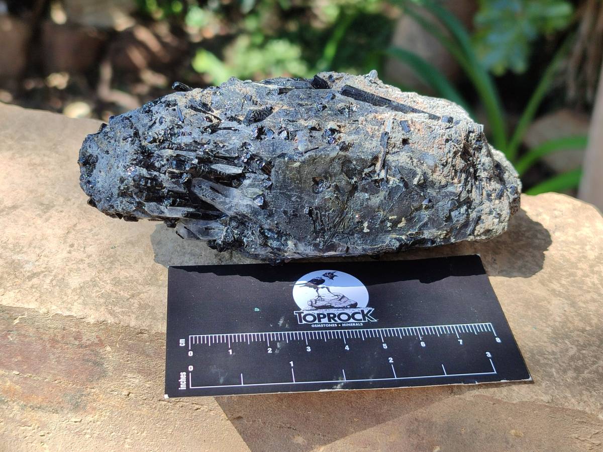 Natural Schorl Black Tourmaline With Feldspar, Fluorite And Mica x 6 From Erongo, Namibia