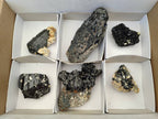 Natural Schorl Black Tourmaline With Feldspar, Fluorite And Mica x 6 From Erongo, Namibia