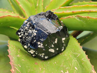 Natural Schorl Black Tourmaline With Feldspar, Fluorite And Mica x 6 From Erongo, Namibia