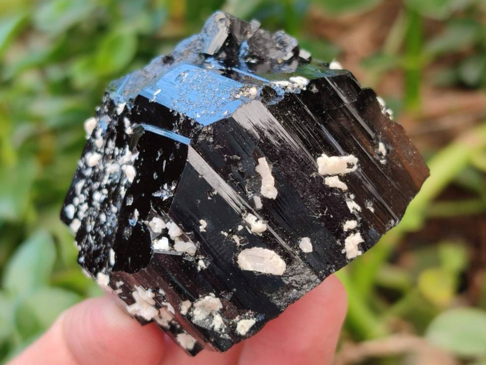 Natural Schorl Black Tourmaline With Feldspar, Fluorite And Mica x 6 From Erongo, Namibia
