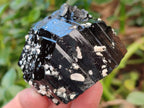 Natural Schorl Black Tourmaline With Feldspar, Fluorite And Mica x 6 From Erongo, Namibia