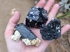 Natural Schorl Black Tourmaline With Feldspar, Fluorite And Mica x 6 From Erongo, Namibia