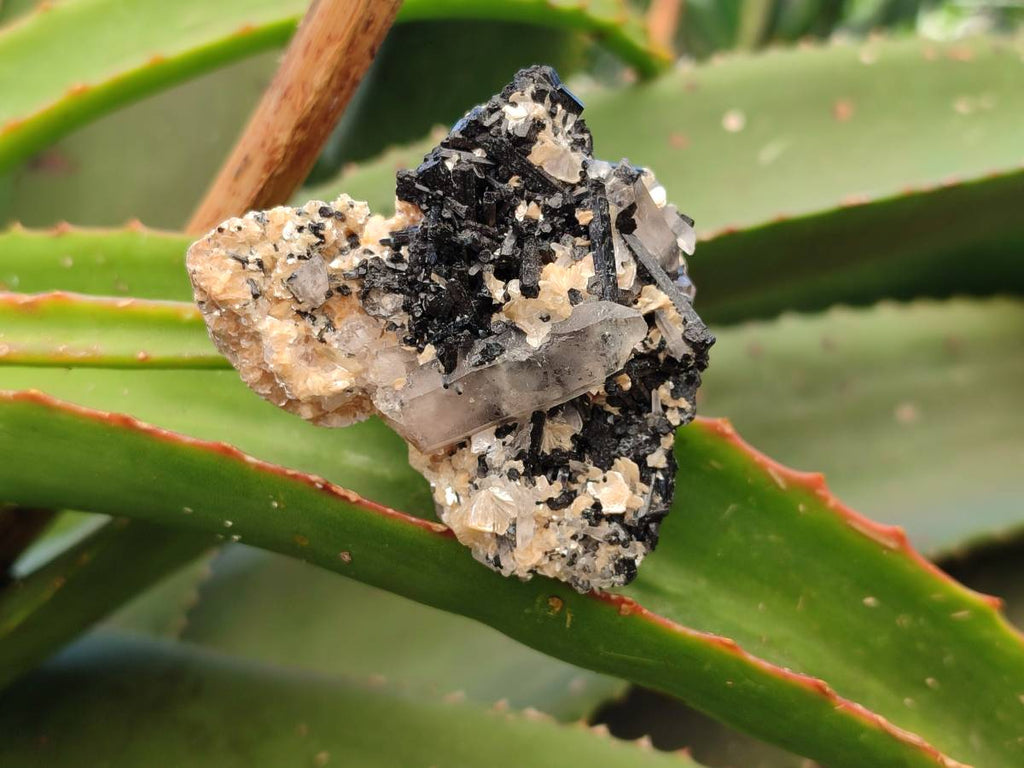 Natural Schorl Black Tourmaline With Feldspar, Fluorite And Mica x 6 From Erongo, Namibia