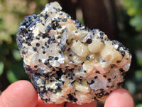 Natural Schorl Black Tourmaline With Feldspar, Fluorite And Mica x 6 From Erongo, Namibia