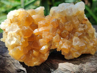 Natural Limonite Quartz Clusters x 12 From Solwezi, Zambia
