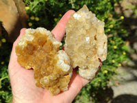 Natural Limonite Quartz Clusters x 12 From Solwezi, Zambia