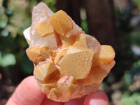 Natural Limonite Quartz Clusters x 12 From Solwezi, Zambia
