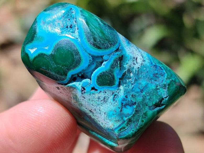 Polished Malacolla Free Forms x 35 From Kulukuluku, Congo