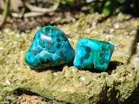 Polished Malacolla Free Forms x 35 From Kulukuluku, Congo