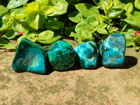 Polished Malacolla Free Forms x 35 From Kulukuluku, Congo