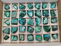 Polished Malacolla Free Forms x 35 From Kulukuluku, Congo